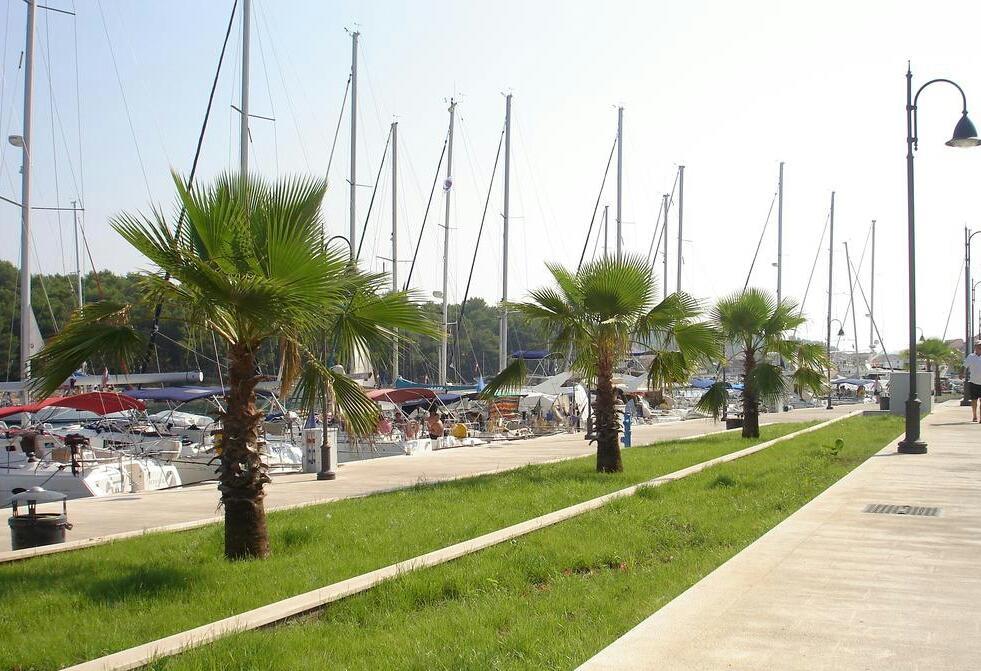 Apartmani Severin Mrsic Apartman